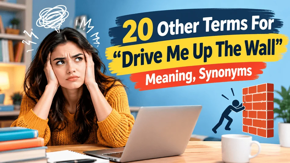 terms-drive-wall-meaning-synonyms